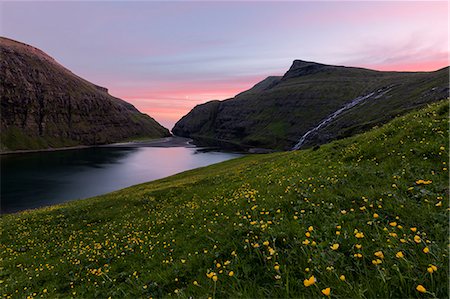 Wild flowers around the sea water lagoon Saksun, Streymoy Island, Faroe Islands, Denmark, Europe Stock Photo - Rights-Managed, Code: 841-09135213