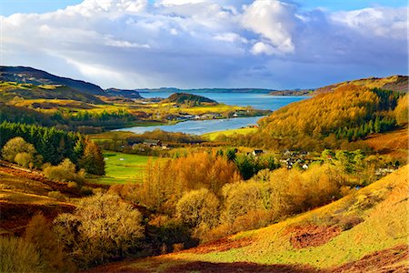 scottish - A scenic autumn view of a coastal landscape in the Scottish Highlands, looking towards Loch Melfort, Highlands, Argyll and Bute, Scotland, United Kingdom, Europe Stock Photo - Rights-Managed, Code: 841-09135276