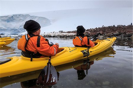 ram (animal) - Couple kayaking in the snow, watching a Gentoo penguin colony, Chilean Gonzalez Videla Station, Waterboat Point, Antarctica, Polar Regions Photographie de stock - Rights-Managed, Code: 841-09162980