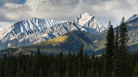 photographs of bc forests - Selkirk Mountain Range in autumn, Kootenay National Park, UNESCO World Heritage Site, British Columbia, The Rockies, Canada, North America Stock Photo - Rights-Managed, Code: 841-09163123