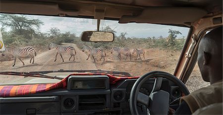 simsearch:841-03673537,k - Zebras crossing a road in Amboseli National Park, Kenya, East Africa, Africa Photographie de stock - Rights-Managed, Code: 841-09163258