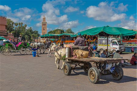 simsearch:841-07081113,k - Horse and cart on Jemaa el Fna (Djemaa el Fnaa) Square, UNESCO World Heritage Site and Koutoubia Mosque visible, Marrakesh (Marrakech), Morocco, North Africa, Africa Stock Photo - Rights-Managed, Code: 841-09163495