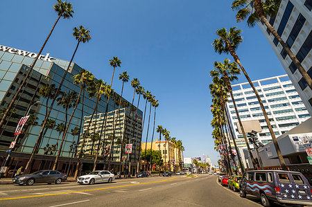 Palm trees and contemporary architecture on Hollywood Boulevard, Los Angeles, California, United States of America, North America Stock Photo - Rights-Managed, Code: 841-09204233