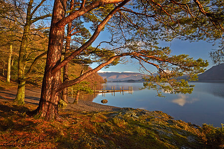 simsearch:841-06447444,k - Low Brandelhow landing stage on Derwentwater in the Lake District National Park, UNESCO World Heritage Site, Cumbria, England, United Kingdom, Europe Stock Photo - Rights-Managed, Code: 841-09242227