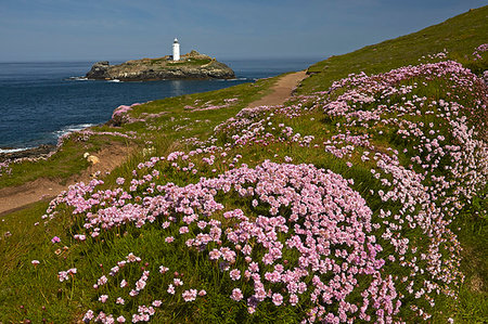 simsearch:841-07202015,k - Godrevy lighthouse seen from the thrift covered coastal path at Godrevy Point near Hayle, Cornwall, England, United Kingdom, Europe Stock Photo - Rights-Managed, Code: 841-09242236