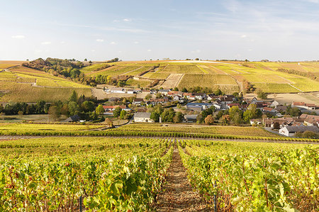 simsearch:841-08860890,k - The vineyards of Sancerre, known for fine wines from grape varieties such as pinot noir and sauvignon blanc, Sancerre, Cher, Centre-Val de Loire, France, Europe Stock Photo - Rights-Managed, Code: 841-09242484