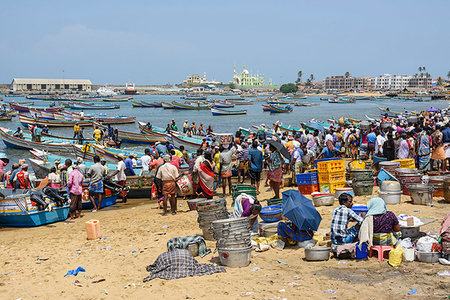 simsearch:841-08102090,k - Vizhinjam beach fish market, near Kovalam, Kerala, India, South Asia Stock Photo - Rights-Managed, Code: 841-09256942