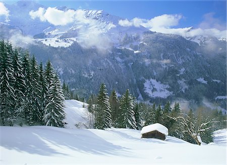 simsearch:841-02721548,k - View over valley after snow storm, Wengen, Bernese Oberland, Swiss Alps, Switzerland, Europe Stock Photo - Rights-Managed, Code: 841-02704205