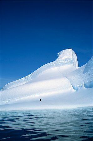 simsearch:693-03301867,k - Adelie penguin on iceberg, Antarctica, Polar Regions Stock Photo - Rights-Managed, Code: 841-02704971