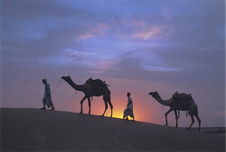 simsearch:841-02946821,k - Camels silhouetted against the sunset, Thar Desert, near Jaisalmer, Rajasthan State, India, Asia Stock Photo - Rights-Managed, Code: 841-02705457