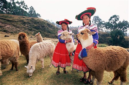 fields peru - Portrait of two Peruvian girls in traditional dress, with their animals, near Cuzco, Peru, South America Stock Photo - Rights-Managed, Code: 841-02705657