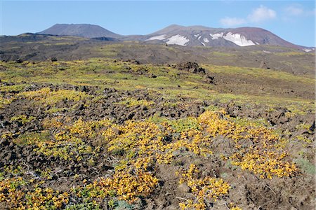 simsearch:841-02706346,k - Gorely volcano, tundra plants on slopes, summit crater rims on skyline, Kamchatka, East Siberia, Russia Stock Photo - Rights-Managed, Code: 841-02706829