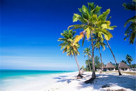 simsearch:841-02722953,k - Palmiers, blanc de la plage de sable et l'océan Indien, Jambiani, île de Zanzibar, Tanzanie, Afrique de l'est, Afrique Photographie de stock - Rights-Managed, Code: 841-02707660