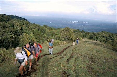 simsearch:841-02918817,k - Trekkers beginning trek up Mount Meru, Arusha National Park, Tanzania, East Africa, Africa Foto de stock - Con derechos protegidos, Código: 841-02707876