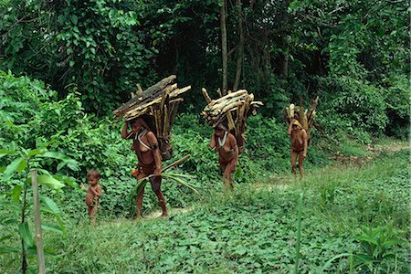 simsearch:841-02709392,k - Yanomami indian women collecting wood, Brazil, South America Stock Photo - Rights-Managed, Code: 841-02709392