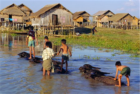 simsearch:841-02707104,k - Enfants équitation buffle d'eau, le lac Inle, Myanmar, Asie Photographie de stock - Rights-Managed, Code: 841-02709491