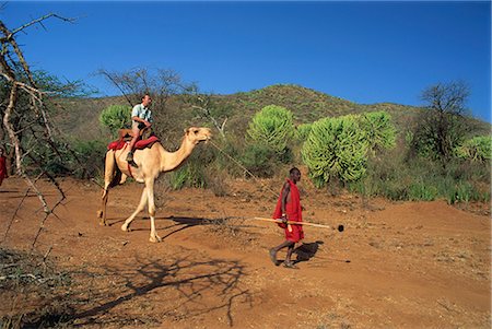 simsearch:841-02918817,k - Safari en chameau, Laikipia, au Kenya, Afrique de l'est, Afrique Photographie de stock - Rights-Managed, Code: 841-02709946