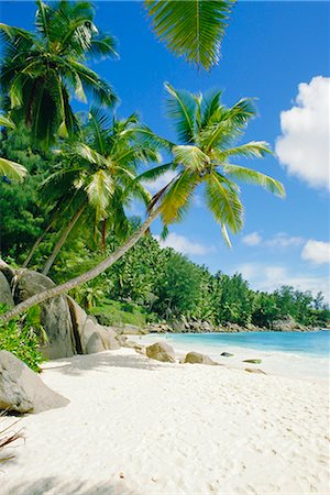 simsearch:841-03518373,k - Anse Intedance, Mahe, Seychelles, Indian Ocean Stock Photo - Rights-Managed, Code: 841-02703146