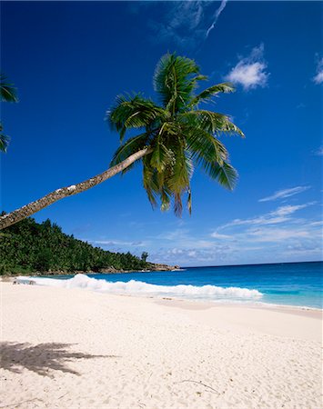 simsearch:851-02962651,k - Anse Intedance, island of Mahe, Seychelles, Indian Ocean, Africa Stock Photo - Rights-Managed, Code: 841-02703148