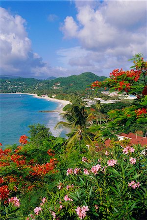 simsearch:841-02722947,k - Grand Anse Beach, Grenada, Caribbean, West Indies Foto de stock - Con derechos protegidos, Código: 841-02703247