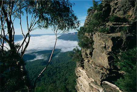 simsearch:841-03490067,k - View from the Three Sisters of Jamison valley under fog, Blue Mountains National Park, UNESCO World Heritage Site, New South Wales, Australia, Pacific Stock Photo - Rights-Managed, Code: 841-02703497