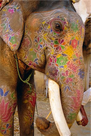 decorated asian elephants - Painted elephant, close up of head, Jaipur, Rajasthan, India Stock Photo - Rights-Managed, Code: 841-02714201
