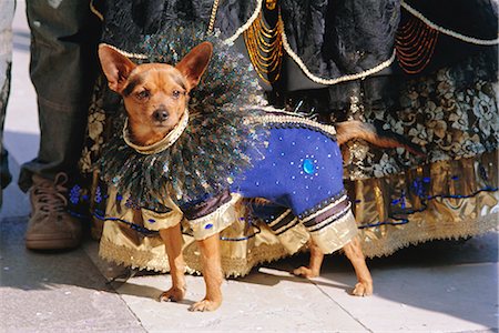 simsearch:841-02714288,k - Small dog in carnival costume, Venice Carnival, Venice, Veneto, Italy Stock Photo - Rights-Managed, Code: 841-02714228