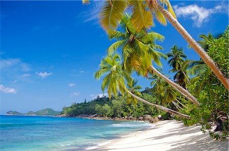 simsearch:851-02962651,k - Beach, Seychelles Stock Photo - Rights-Managed, Code: 841-02715582