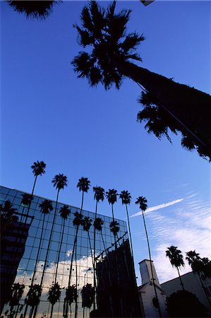 Hollywood Boulevard, Los Angeles, California, United States of America, North America Stock Photo - Rights-Managed, Code: 841-02716205