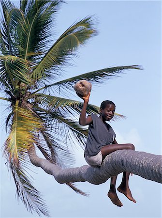 simsearch:841-02946644,k - Boy holding a coconut in a palm tree, Tobago, West Indies, Caribbean, Central America Stock Photo - Rights-Managed, Code: 841-02716731