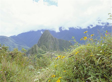 simsearch:841-06034486,k - Vue d'Inca ruines à distance, Machu Picchu, patrimoine mondial de l'UNESCO, au Pérou, Amérique du Sud Photographie de stock - Rights-Managed, Code: 841-02717095