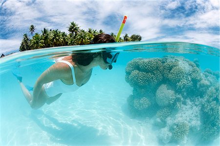 snorkeling woman - Tikehau, Tuamotu Archipelago, French Polynesia, Pacific Islands, Pacific Stock Photo - Rights-Managed, Code: 841-02717346