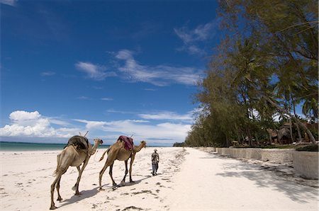 Diani Beach, near Mombasa, Kenya, East Africa, Africa Stock Photo - Rights-Managed, Code: 841-02717399