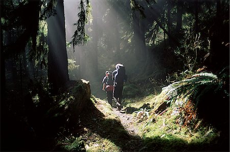 simsearch:841-02920671,k - Backpackers in steamy light, Queets Vall, Olympic National Park, UNESCO World Heritage Site, Washington State, United States of America (U.S.A.), North America Stock Photo - Rights-Managed, Code: 841-02718506