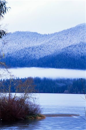 simsearch:841-03505868,k - Lake Quinault, Olympic National Park, UNESCO World Heritage Site, Washington State, United States of America (U.S.A.), North America Stock Photo - Rights-Managed, Code: 841-02718512