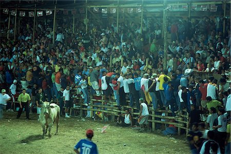 running with bulls - Crowds of Costa Ricans run from mad bull at national fiesta, Santa Cruz bull fights, Costa Rica, Central America Stock Photo - Rights-Managed, Code: 841-02718618