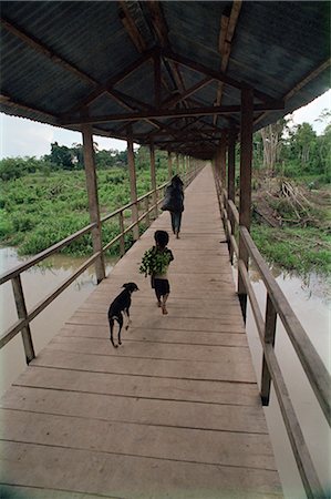 Dog follows boy carrying bananas in small community outside Iquitos, Amazon River, Peru, South America Stock Photo - Rights-Managed, Code: 841-02718646