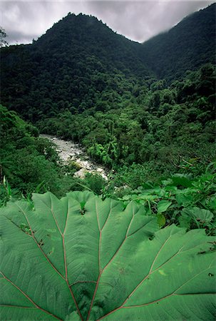 Rio Grande de Orosi, Costa Rica, Central America Stock Photo - Rights-Managed, Code: 841-02719529