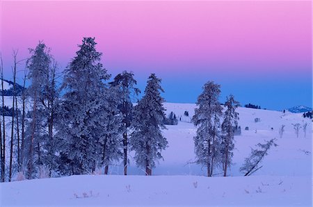 simsearch:841-03505868,k - Winter landscape, Yellowstone National Park, UNESCO World Heritage Site, Wyoming, United States of America, North America Stock Photo - Rights-Managed, Code: 841-02719602