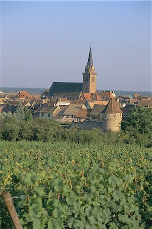 simsearch:841-02707104,k - Bergheim et vignobles, Alsace, France, Europe Photographie de stock - Rights-Managed, Code: 841-02711131