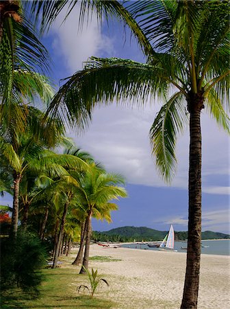 simsearch:841-02722953,k - Pelangi Beach, île de Langkawi, en Malaisie, Asie Photographie de stock - Rights-Managed, Code: 841-02711424