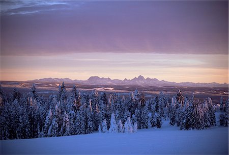 simsearch:841-03505868,k - Sunset on Grand Tetons from Two Tops, West Yellowstone, Montana, United States of America (U.S.A.), North America Stock Photo - Rights-Managed, Code: 841-02712073