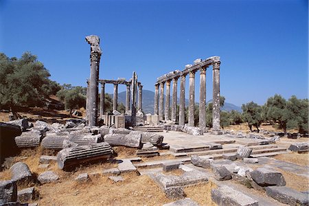 simsearch:841-03031208,k - Ruines du Temple de Zeus, site archéologique, Euromos, près de Bodrum, Anatolie, Turquie, Asie mineure Photographie de stock - Rights-Managed, Code: 841-02712297