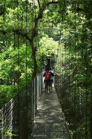 Hanging Bridges, a walk through the rainforest, Arenal, Costa Rica, Central America Stock Photo - Rights-Managed, Code: 841-02712441