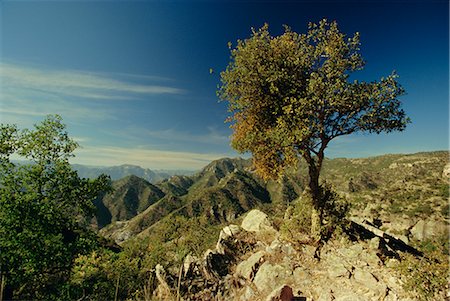 Copper Canyon in the Sierra Madre Occidental from hiking trail near Divisadero, Mexico, Central America Stock Photo - Rights-Managed, Code: 841-02722903