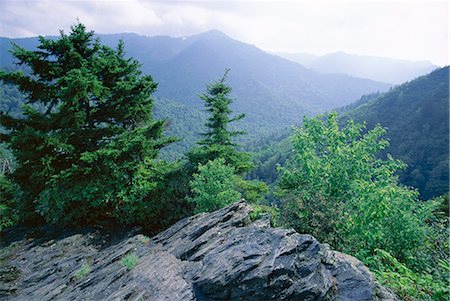 View from the Alum Cave Bluffs trail in Great Smoky Mountains National Park, UNESCO World Heritage Site, Tennessee, United States of America (U.S.A.), North America Stock Photo - Rights-Managed, Code: 841-02722912