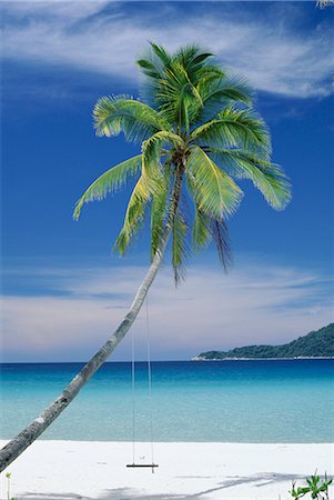 simsearch:841-02705293,k - Palm tree and beach, Long Beach, Perhentian Kecil, smaller of the two Perhentian Islands, Terenggenu (Terengganu), Malaysia, Asia Stock Photo - Rights-Managed, Code: 841-02722953
