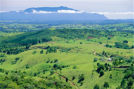 simsearch:841-02722947,k - The Atherton Tablelands, Queensland, Australia Foto de stock - Con derechos protegidos, Código: 841-02722994