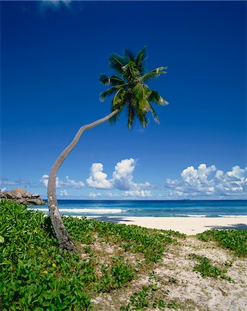 Grand Anse, La Digue, Seychelles, Indian Ocean, Africa Stock Photo - Rights-Managed, Code: 841-02824610