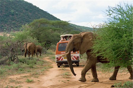 simsearch:841-02918817,k - Samburu National Reserve, Kenya, East Africa, Africa Foto de stock - Con derechos protegidos, Código: 841-02824838